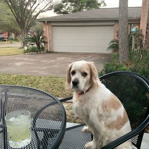 Meet your Posher, John